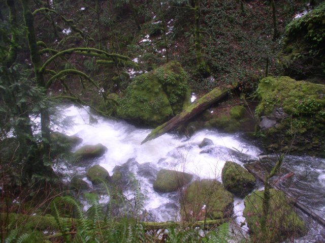 12.23.05 Elowah Falls 033 